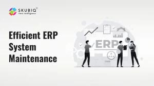 Efficient ERP System Maintenance
