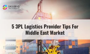 5 3PL Logistics Provider Tips For Middle East Market